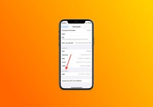 IMEI principal y SIM digital en iPhone ¿diferencias?